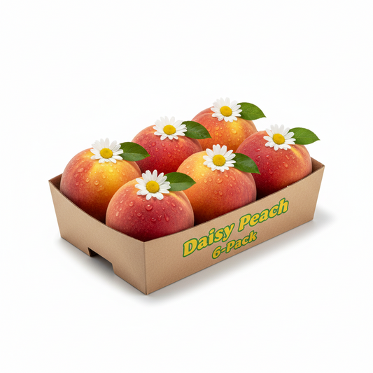 Daisy Peach 6