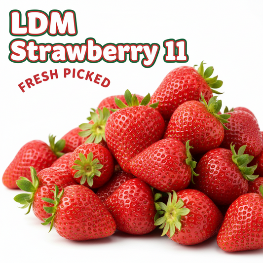 Ldm Strawberry 11