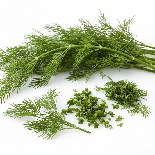 Organic Dill Weed